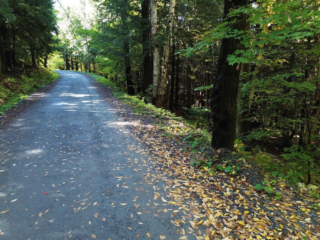 350 Anne Burns Road, Unit 19 & 20 Warren, VT 05674 - Photo 11 of 13