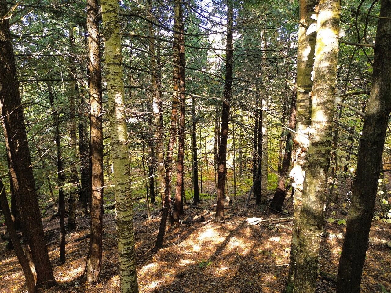 350 Anne Burns Road, Unit 19 & 20 Warren, VT 05674 - Photo 13 of 13