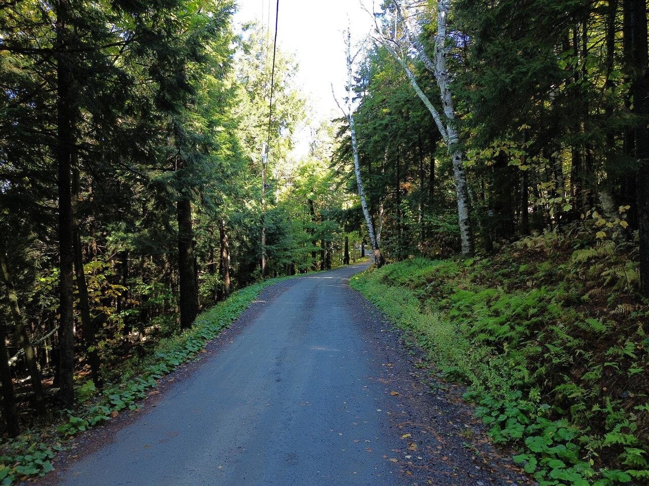 350 Anne Burns Road, Unit 19 & 20 Warren, VT 05674 - Photo 2 of 13