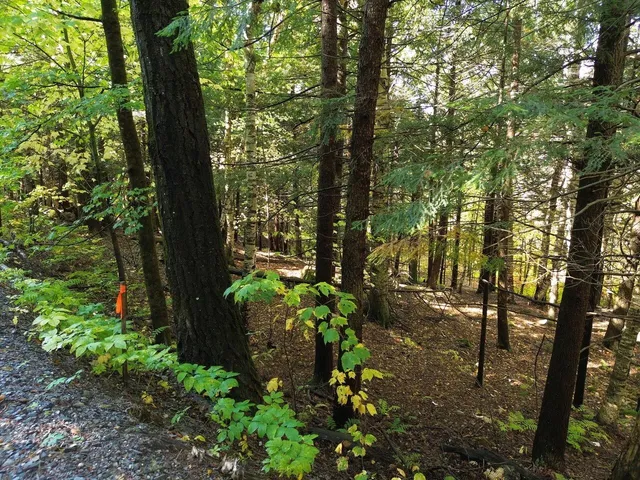 $175,000 | 350 Anne Burns Road, Unit 19 & 20, Warren, VT 05674