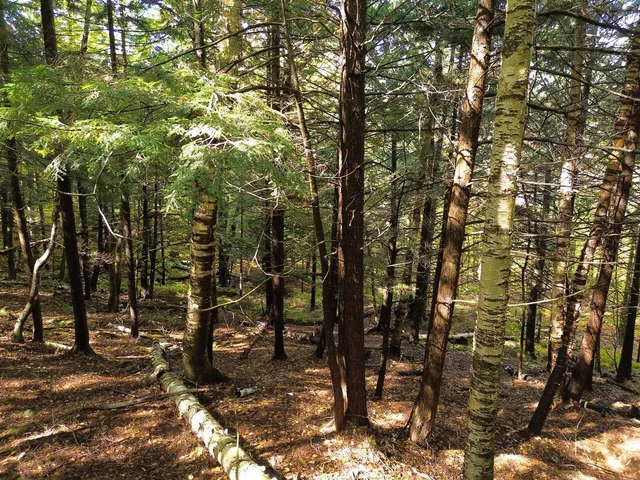 $175,000 | 350 Anne Burns Road, Unit 19 & 20, Warren, VT 05674