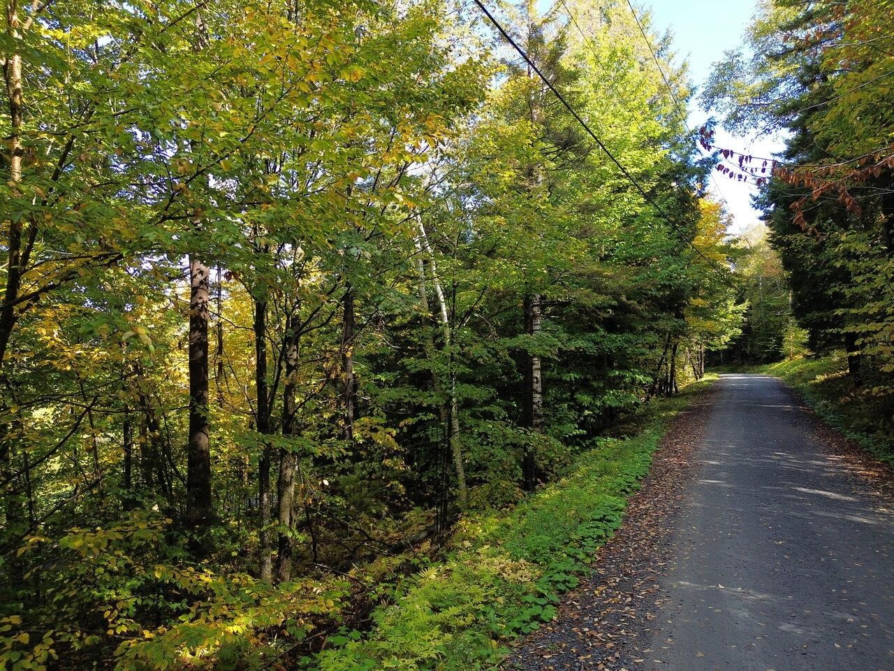350 Anne Burns Road, Unit 19 & 20 Warren, VT 05674 - Photo 7 of 13
