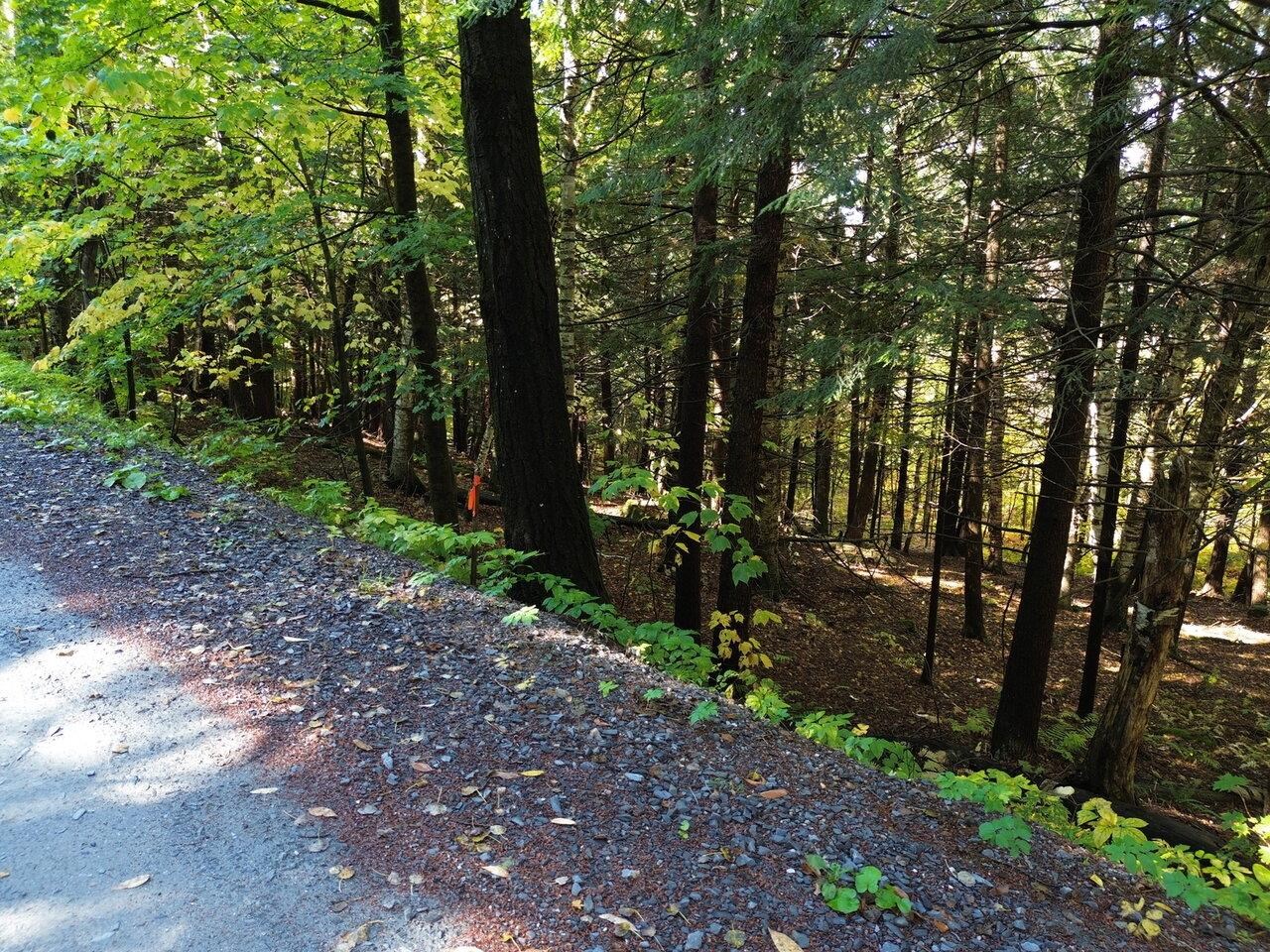 350 Anne Burns Road, Unit 19 & 20 Warren, VT 05674 - Photo 9 of 13