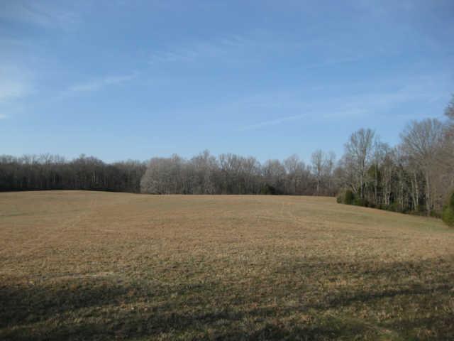 3090 Spring Hill-duplex Road Spring Hill, TN 37174 - Photo 6 of 9 Gallery Image 6