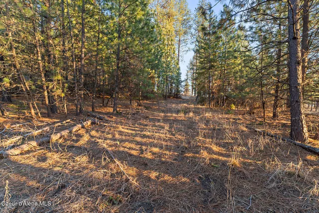 $1,800,000 | 4234 East Potlatch Hill Road, Coeur D'Alene, ID 83814
