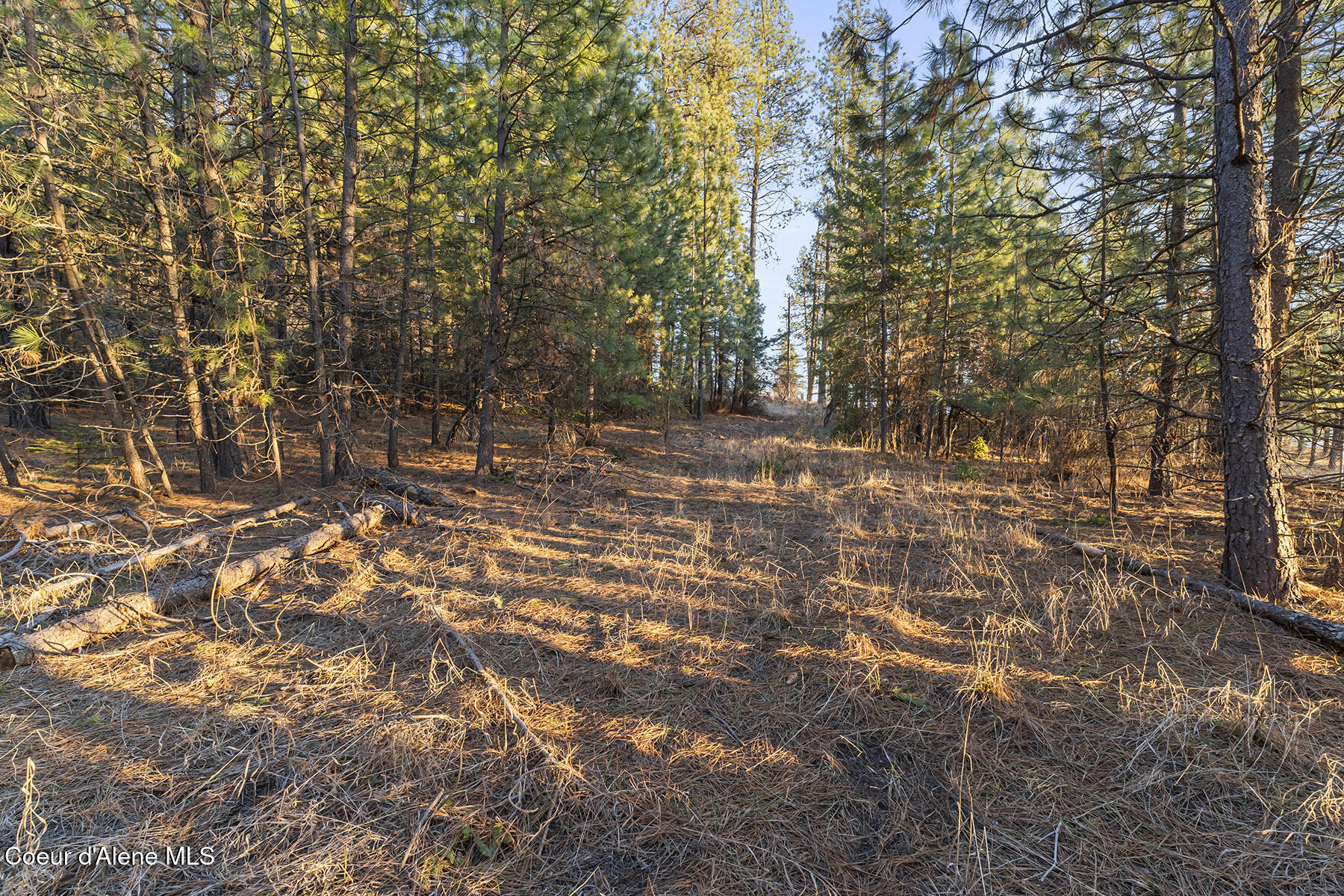 4234 East Potlatch Hill Road Coeur D'Alene, ID 83814 - Photo 34 of 46 Lower Parcel Looking East