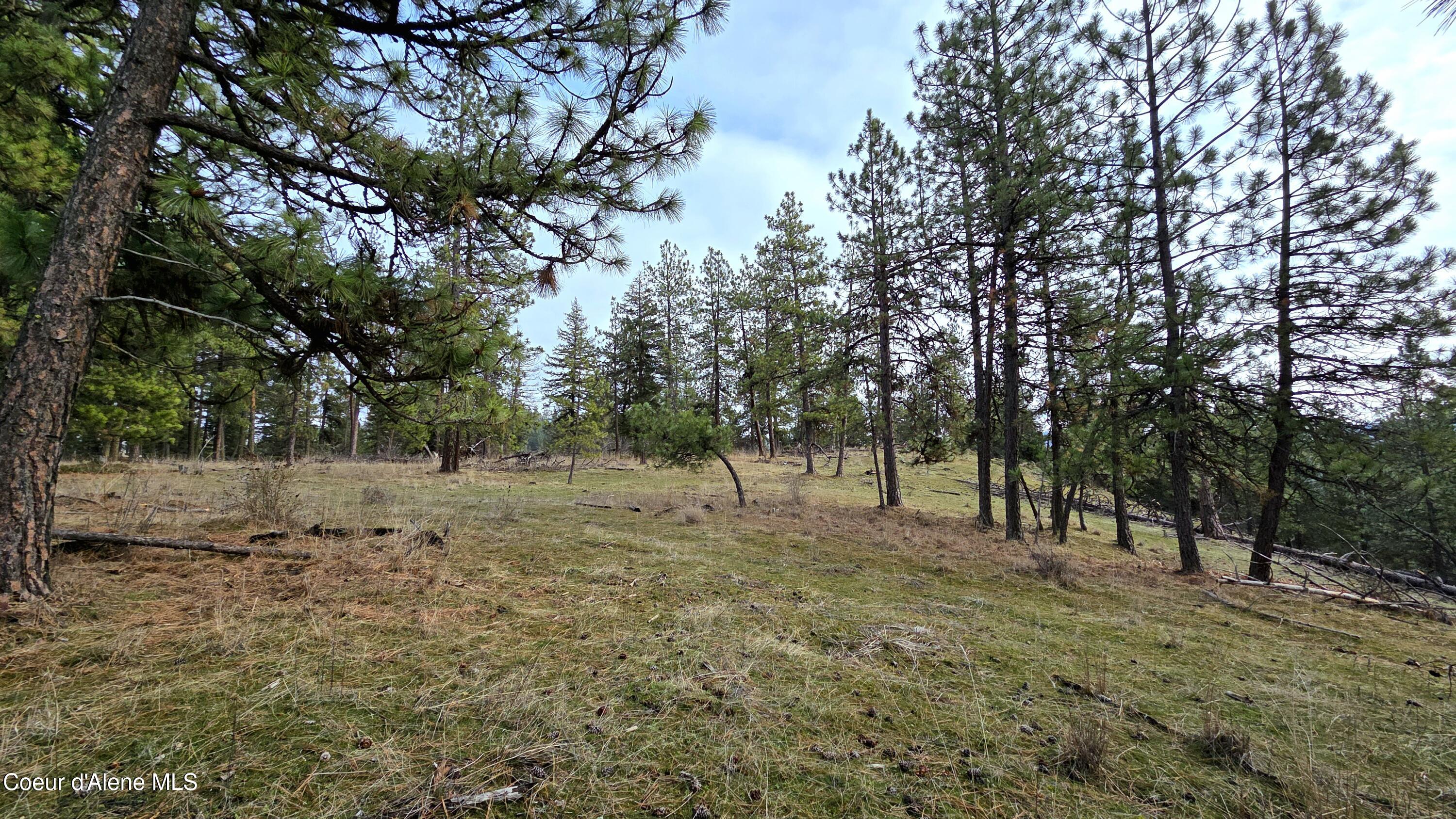4234 East Potlatch Hill Road Coeur D'Alene, ID 83814 - Photo 39 of 46 Upper Meadow Looking East