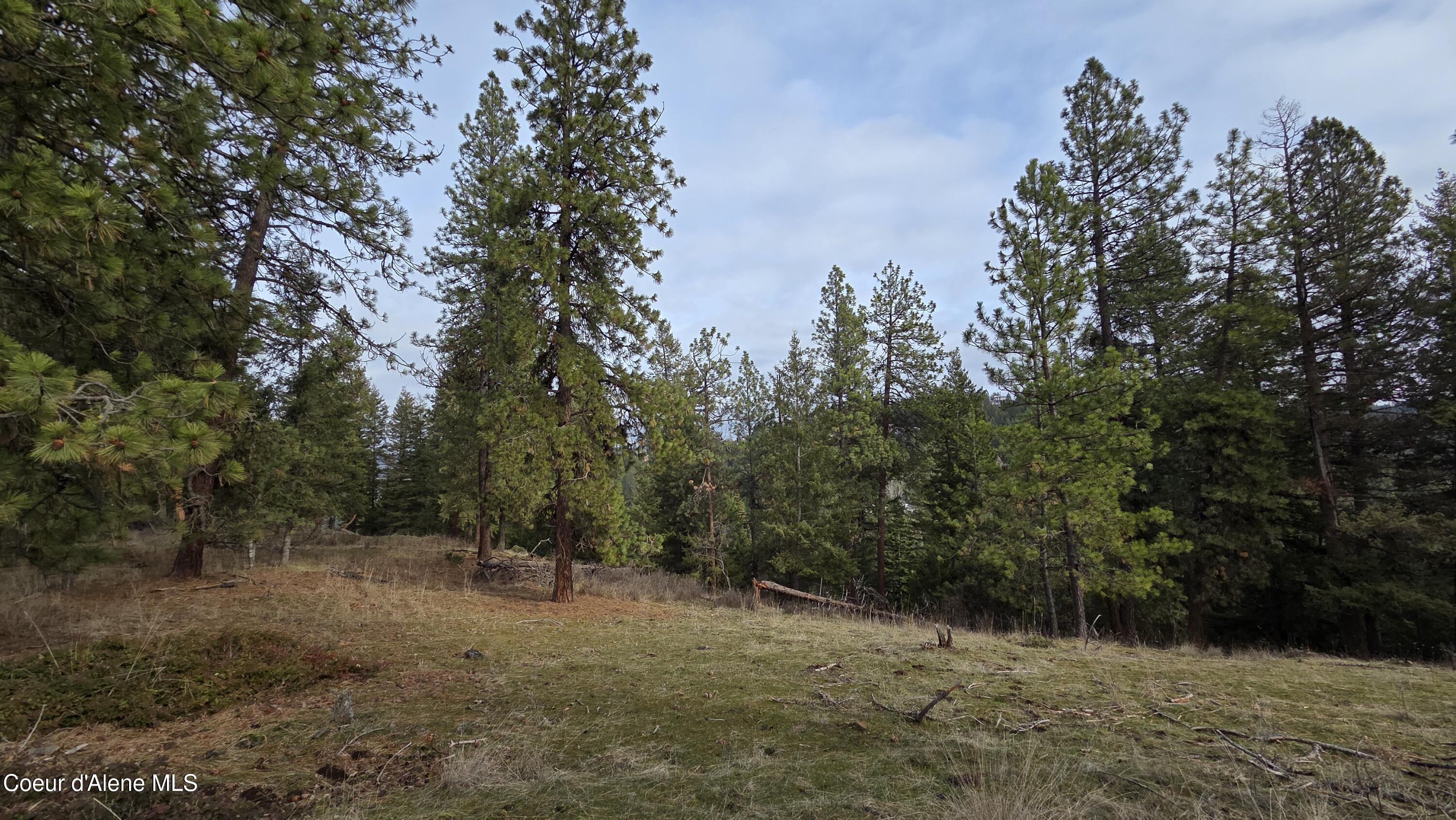4234 East Potlatch Hill Road Coeur D'Alene, ID 83814 - Photo 41 of 46 Upper Meadow Looking North