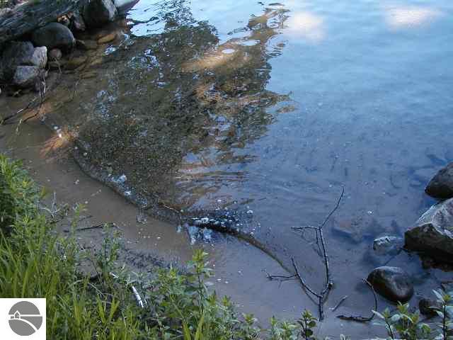 9294 Skegemog Point Road Williamsburg, MI 49690 - Photo 7 of 11 1694592-6.JPG
