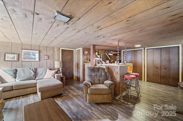 a living room with furniture a rug and a potted plant
