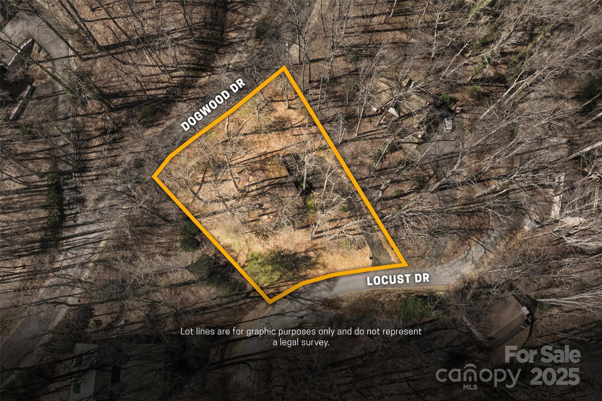 679 Locust Drive Maggie Valley, NC 28751 - Photo 36 of 37