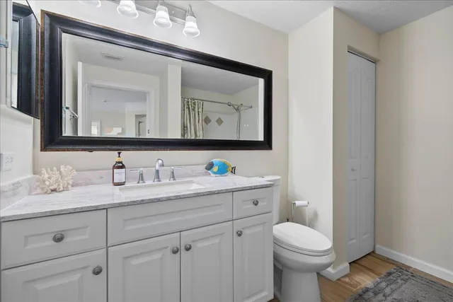 a bathroom with a toilet sink vanity and mirror