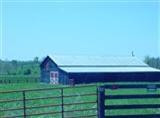1501 Muir Station Road Lexington, KY 40516 - Photo 1 of 2 Photo 1