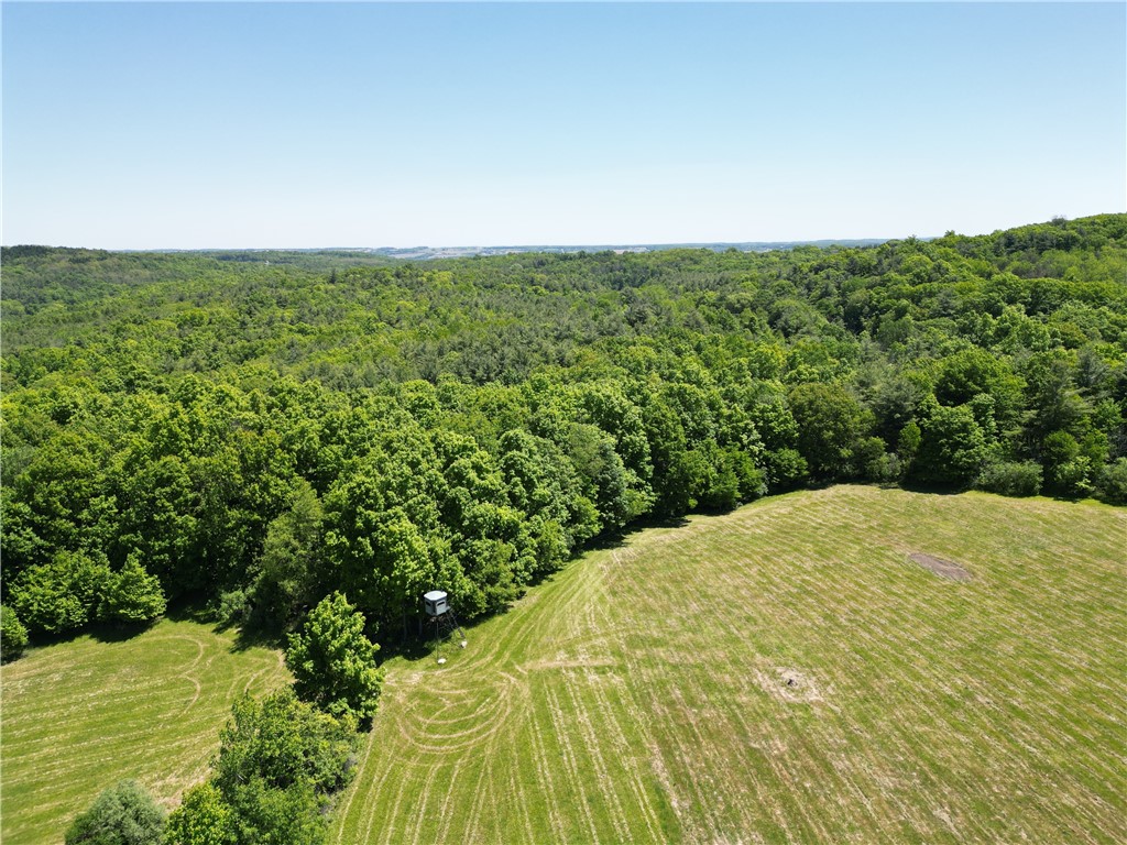 5087 Hagerty Road Middlesex, NY 14507 - Photo 23 of 37