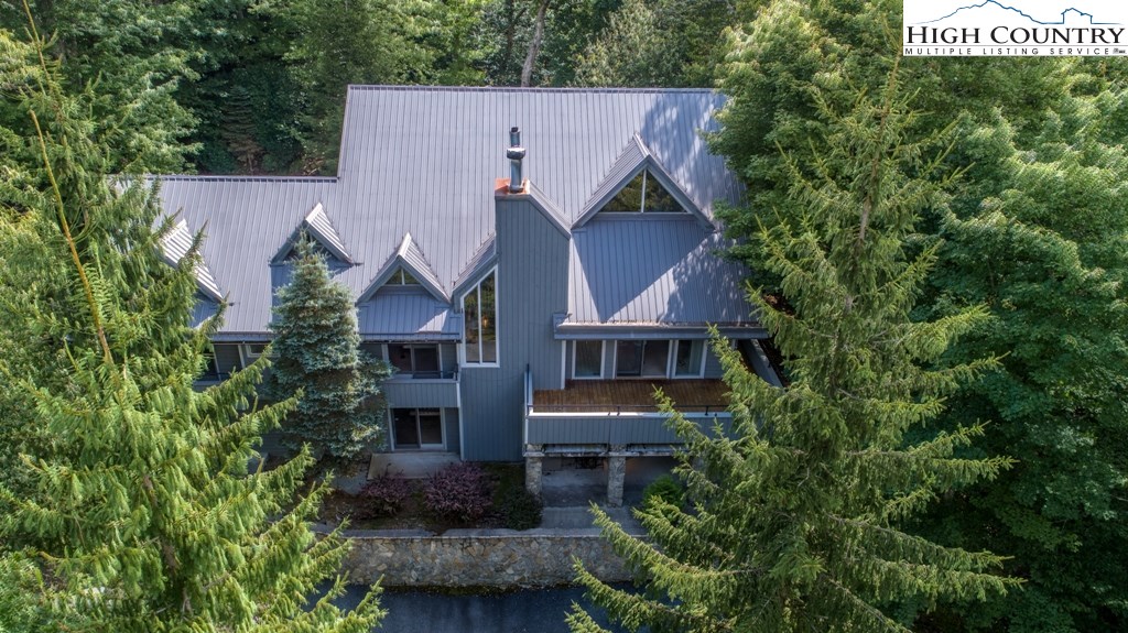 132 Tamarack Road Beech Mountain, NC 28604 - Photo 3 of 31 Gallery Image 3
