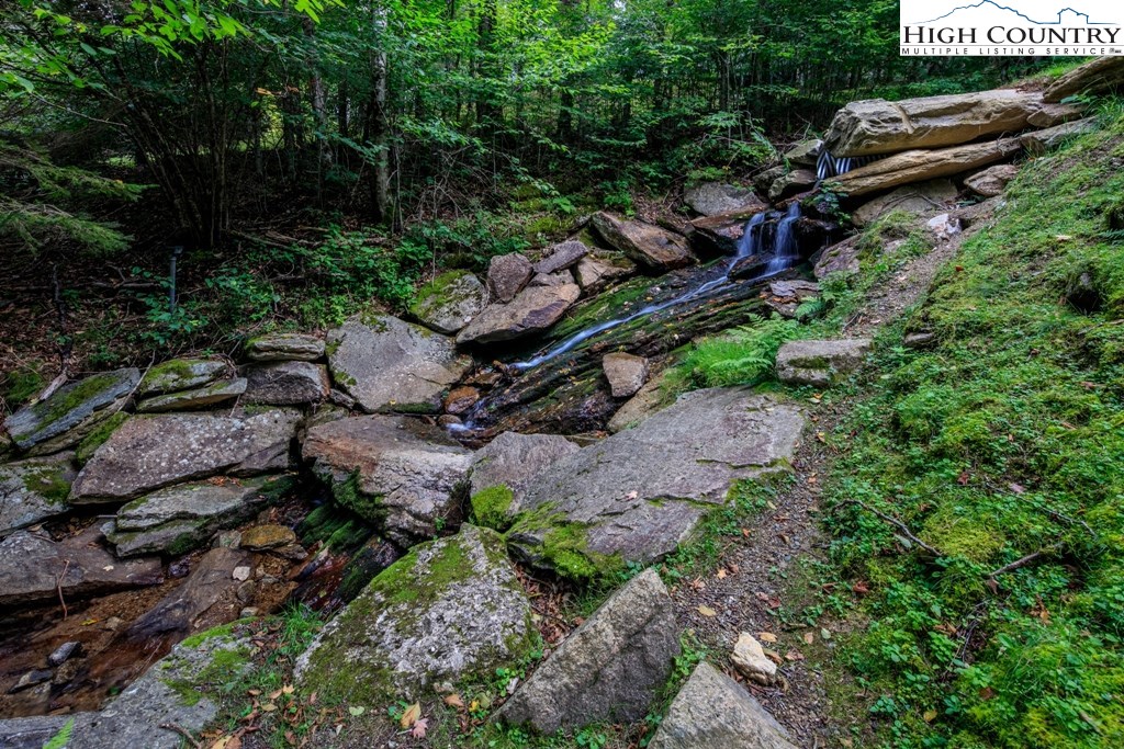 132 Tamarack Road Beech Mountain, NC 28604 - Photo 31 of 31 Gallery Image 31