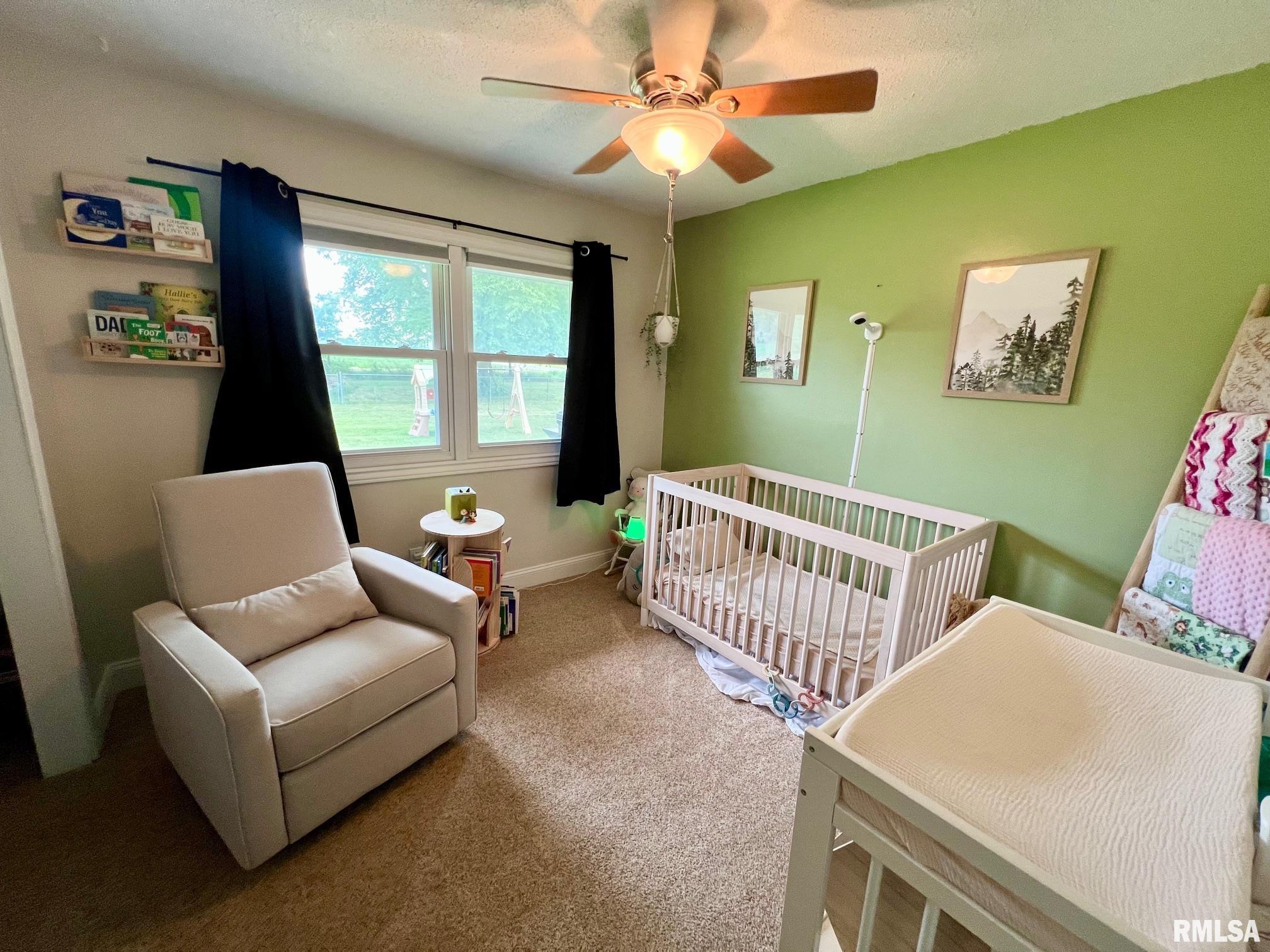 17477 River View Road Petersburg, IL 62675 - Photo 20 of 33 Gallery Image 20