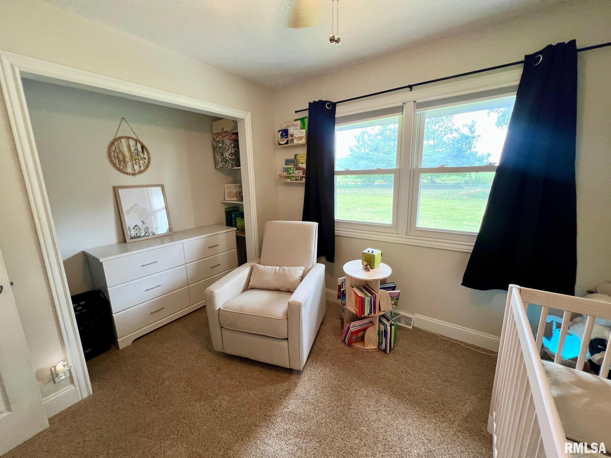 17477 River View Road Petersburg, IL 62675 - Photo 21 of 33 Gallery Image 21