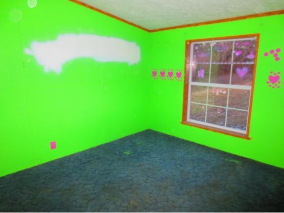 3066 Bells Branch Road Dillsboro, IN 47018 - Photo 11 of 12 Gallery Image 11