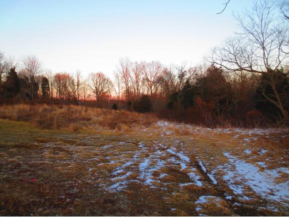 3066 Bells Branch Road Dillsboro, IN 47018 - Photo 3 of 12 Gallery Image 3