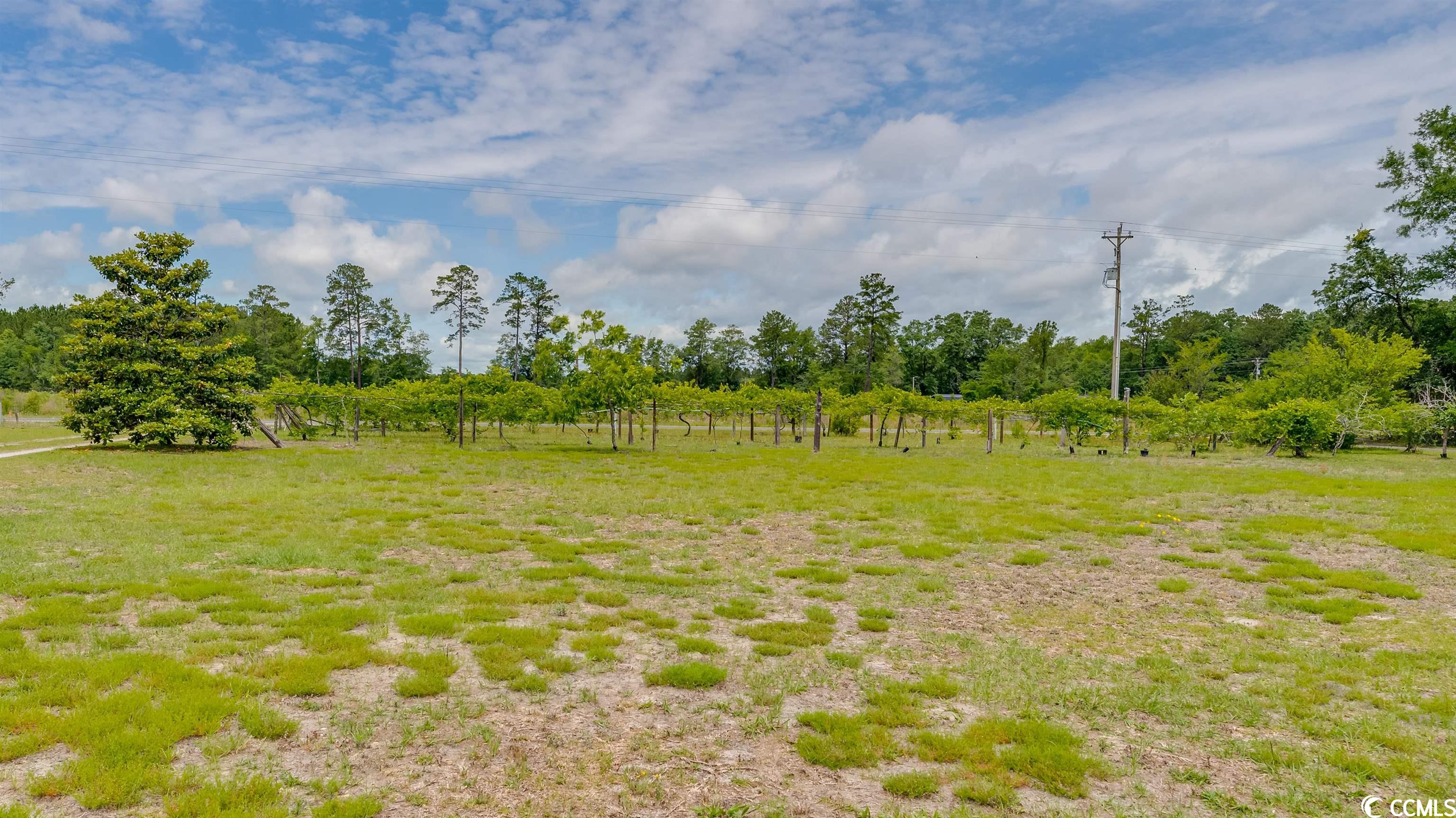 5963 Pauley Swamp Road Conway, SC 29527 - Photo 25 of 26 Gallery Image 25