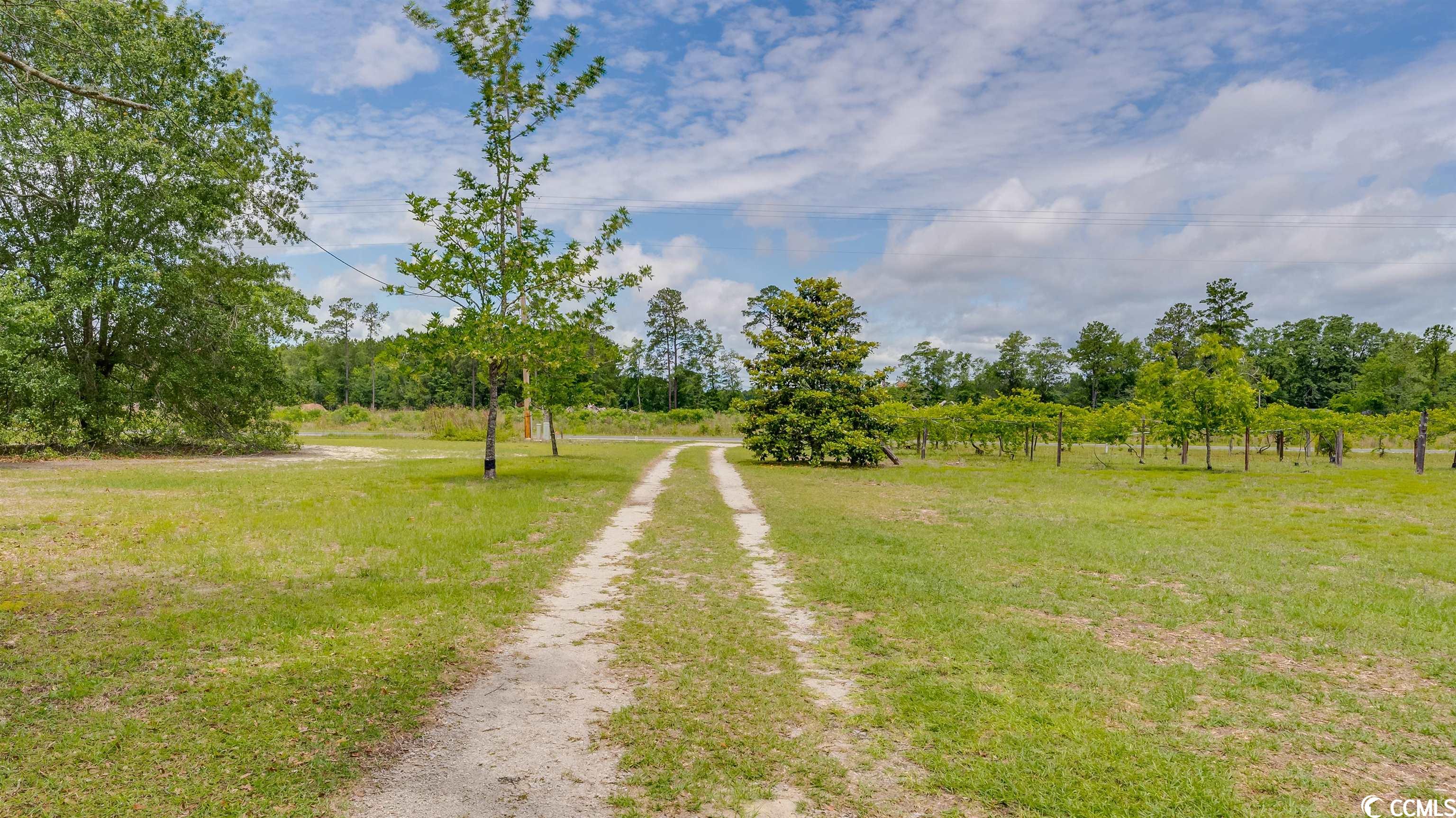 5963 Pauley Swamp Road Conway, SC 29527 - Photo 26 of 26 Gallery Image 26