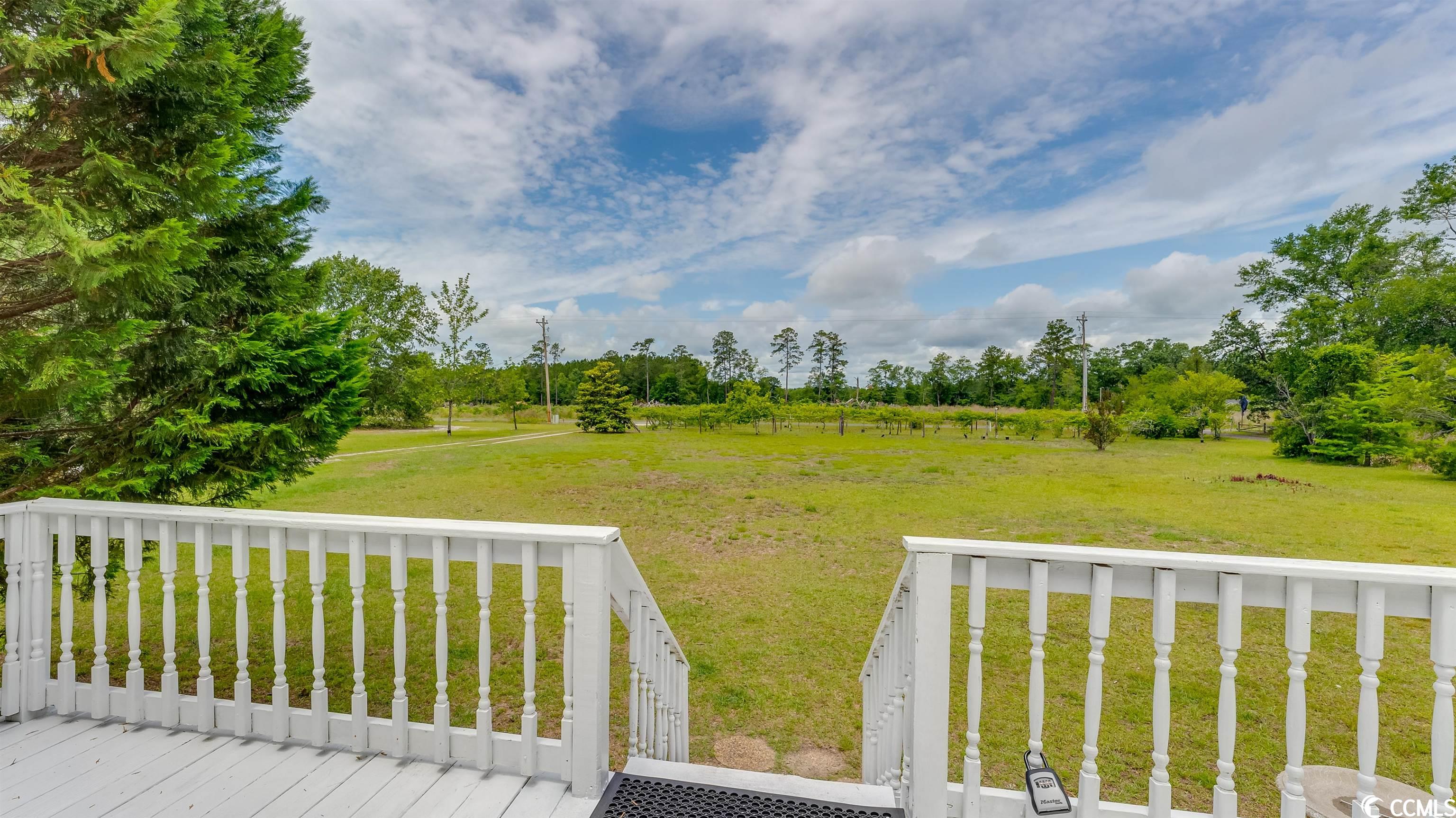 5963 Pauley Swamp Road Conway, SC 29527 - Photo 3 of 26 Gallery Image 3
