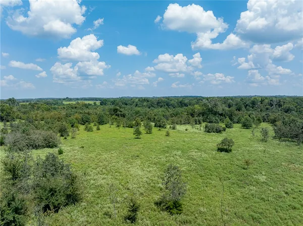 a view of a big yard with lots of green space