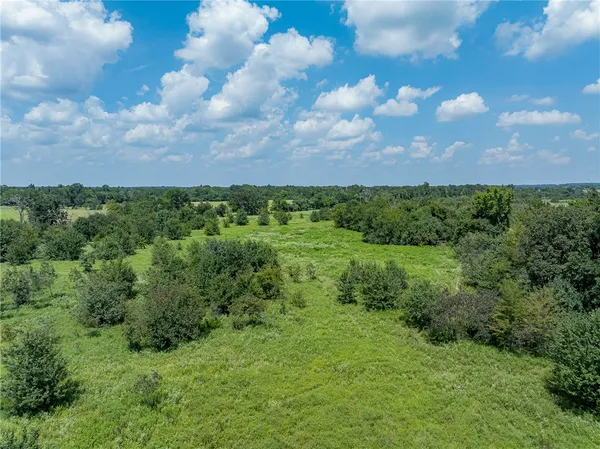 a view of a bunch of trees