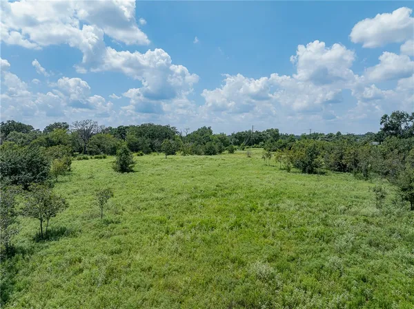 a view of a big yard with plants and large trees