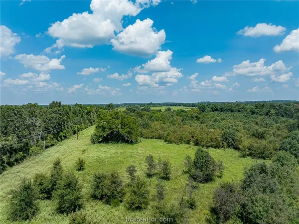 a view of a bunch of trees in middle of green field