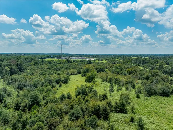 a view of a bunch of trees