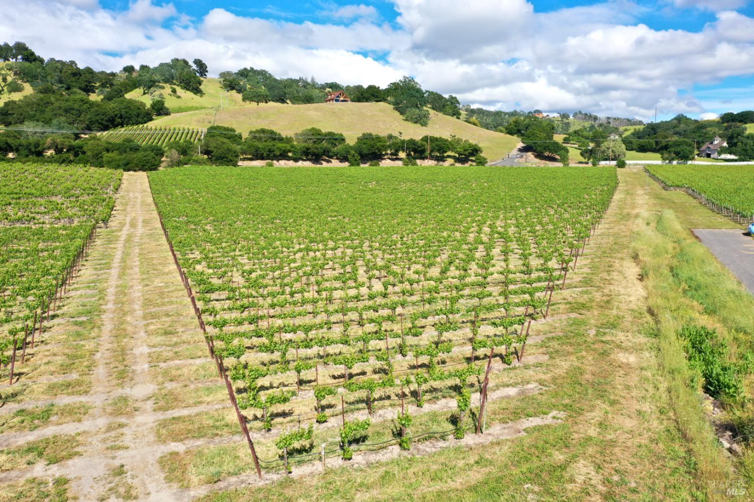 0 Pleasant Avenue Santa Rosa, CA 95403 - Photo 14 of 40 a view of a yard with an ocean view