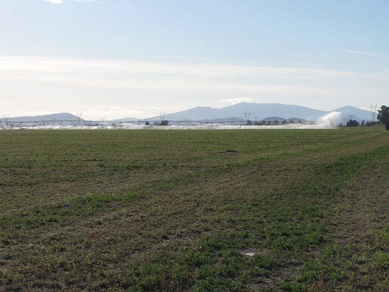 9999 Hill Road Klamath Falls, OR 97603 - Photo 7 of 31 Additional Photo