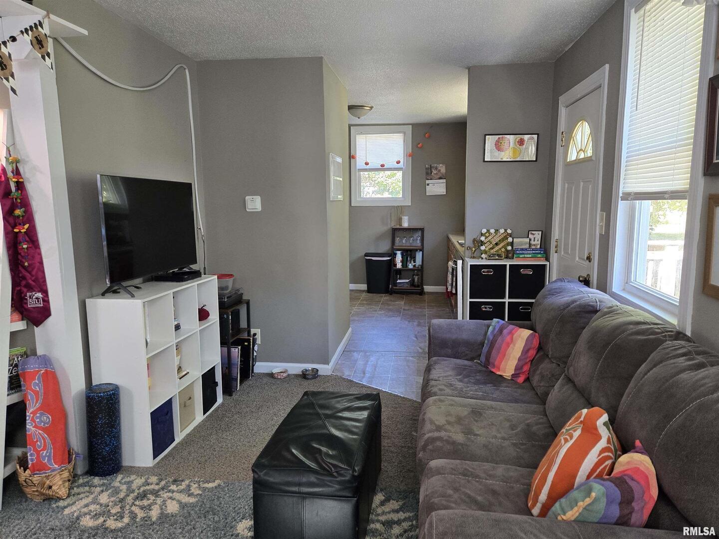 408 North Springer Street, Unit 2 Carbondale, IL 62901 - Photo 11 of 15 a living room with furniture and a flat screen tv