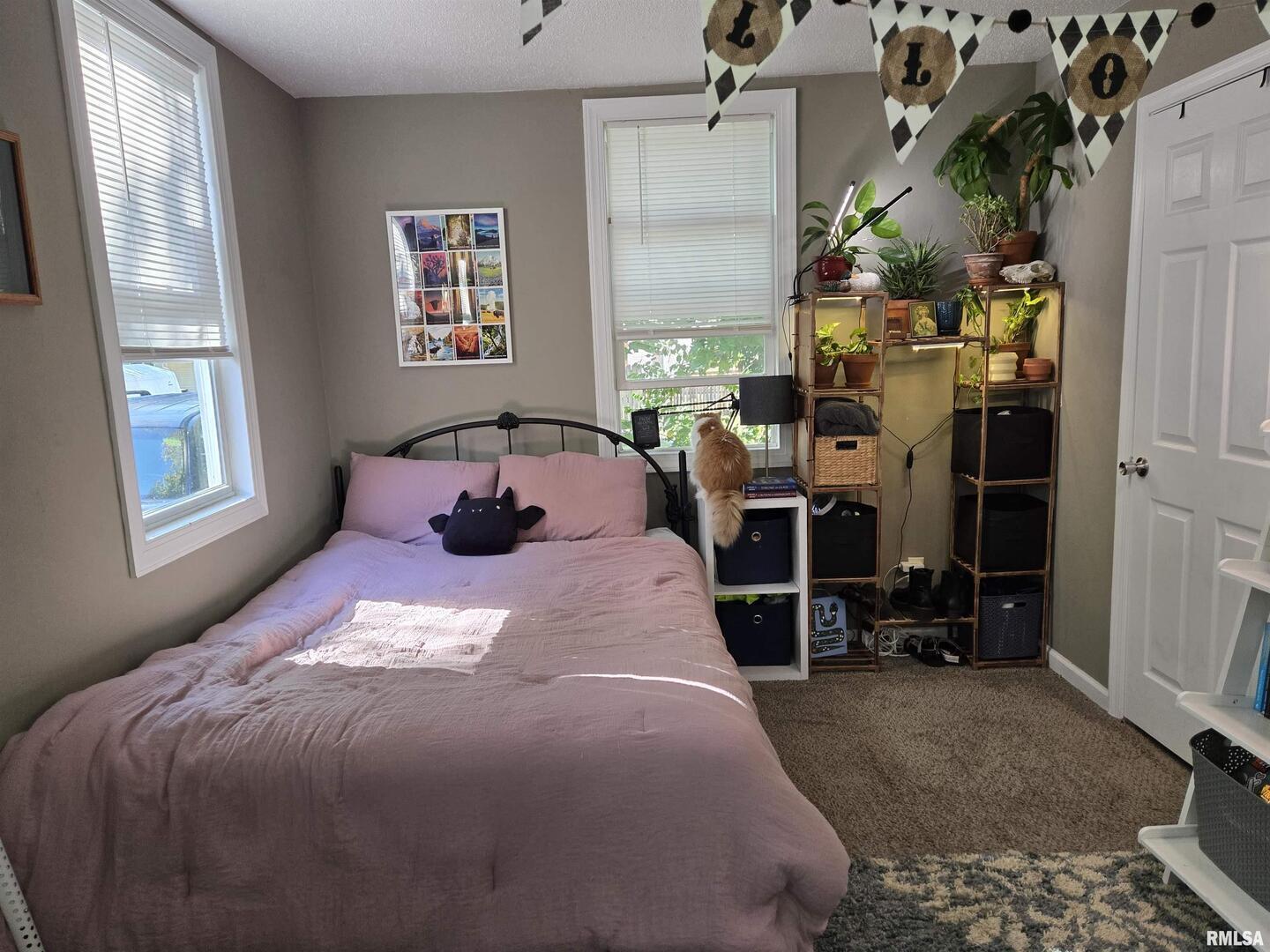 408 North Springer Street, Unit 2 Carbondale, IL 62901 - Photo 12 of 15 a bedroom with a bed and a window