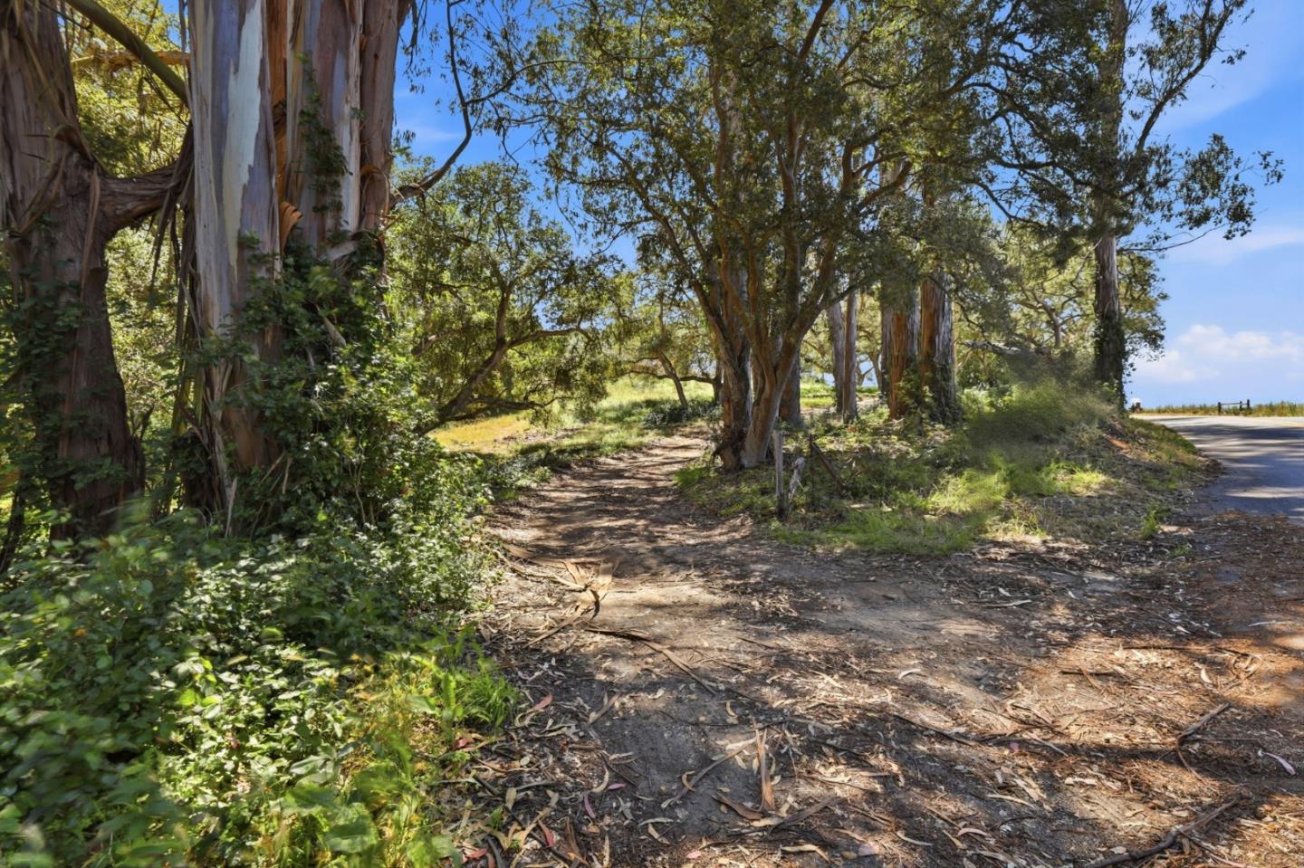 1443 Elkhorn Road Watsonville, CA 95076 - Photo 40 of 41