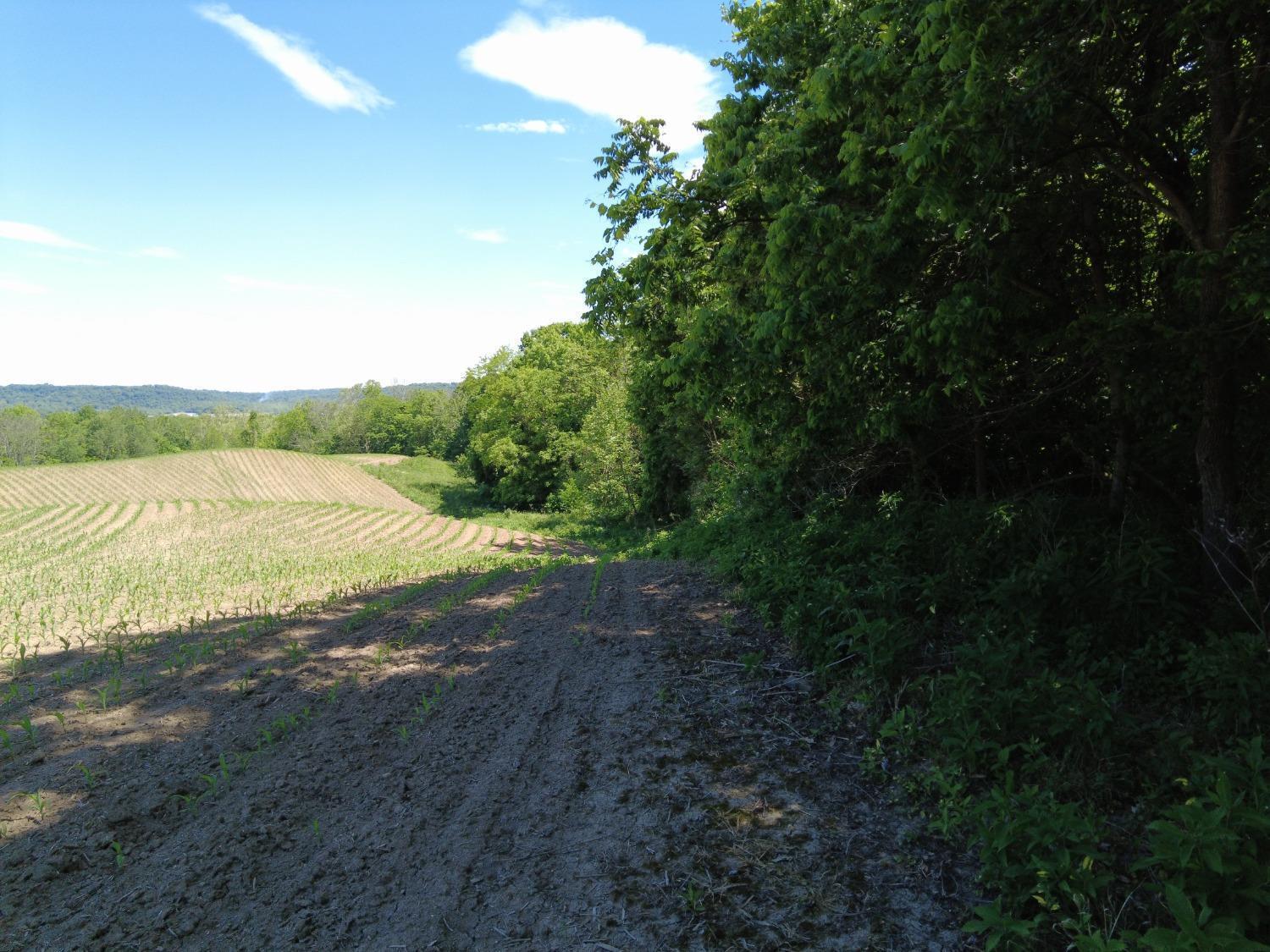 0 Us Rt 50 Bainbridge, OH 45612 - Photo 4 of 29 4