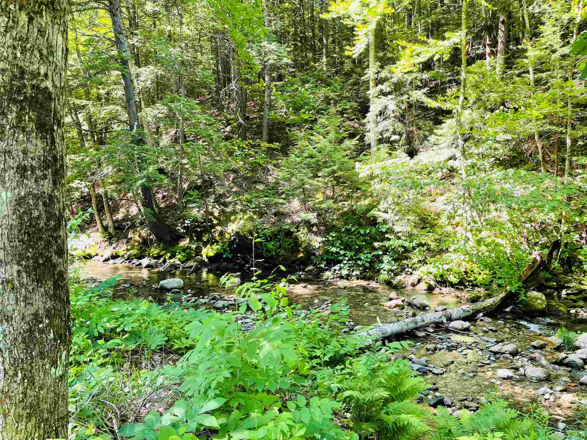 82 Camp Road Plainfield, NH 03781 - Photo 15 of 27