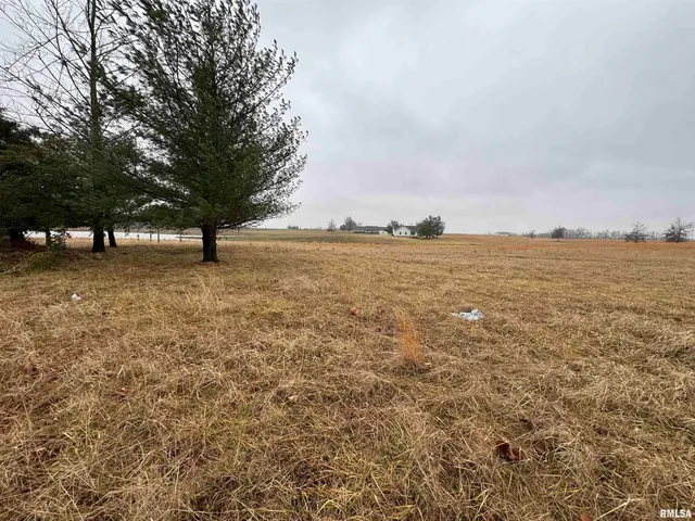 $19,000 | Lot 1-2 Raleigh Road, Eldorado, IL 62930