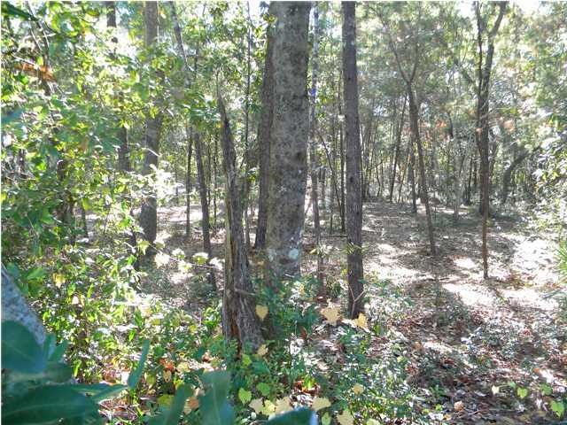 Lot 5 Ricker Avenue Santa Rosa Beach, FL 32459 - Photo 2 of 12 Gallery Image 2