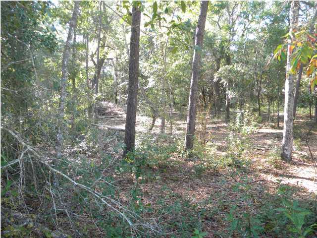 Lot 5 Ricker Avenue Santa Rosa Beach, FL 32459 - Photo 3 of 12 Gallery Image 3
