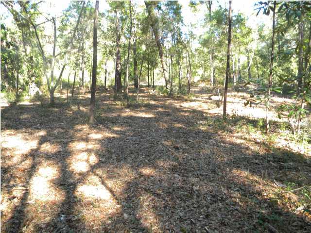 Lot 5 Ricker Avenue Santa Rosa Beach, FL 32459 - Photo 4 of 12 Gallery Image 4