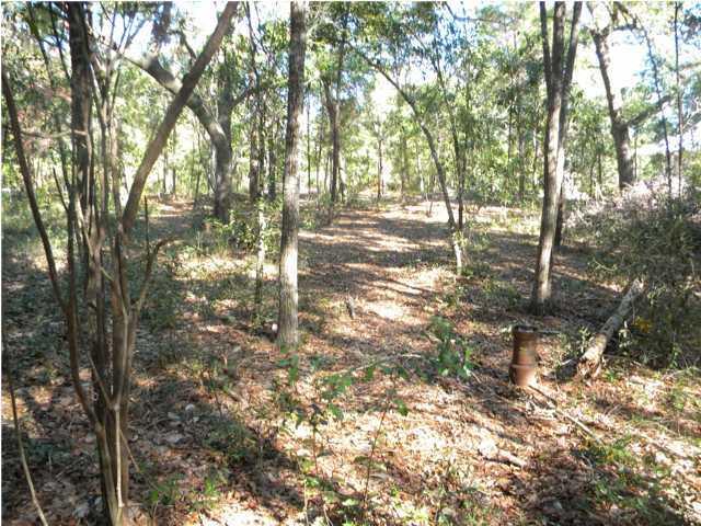 Lot 5 Ricker Avenue Santa Rosa Beach, FL 32459 - Photo 5 of 12 Gallery Image 5