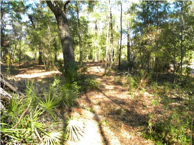 Lot 5 Ricker Avenue Santa Rosa Beach, FL 32459 - Photo 6 of 12 Gallery Image 6