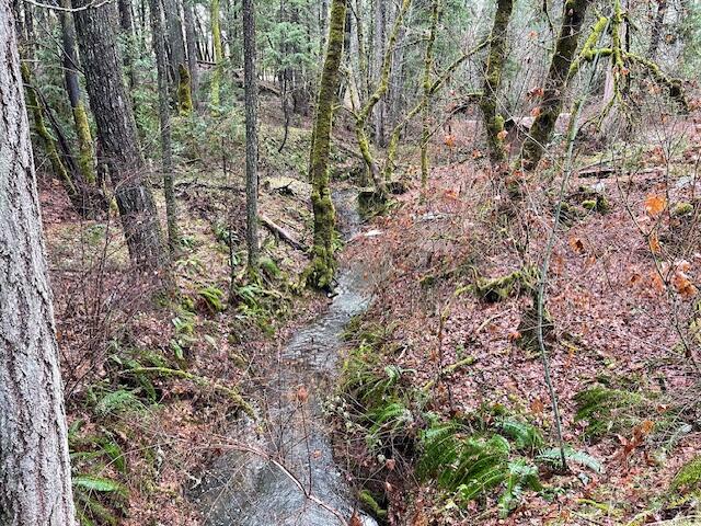 6392 Pleasant Creek Road Rogue River, OR 97537 - Photo 5 of 19 IMG_7378