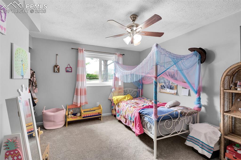 7 Lazy W Road Fountain, CO 80817 - Photo 40 of 48