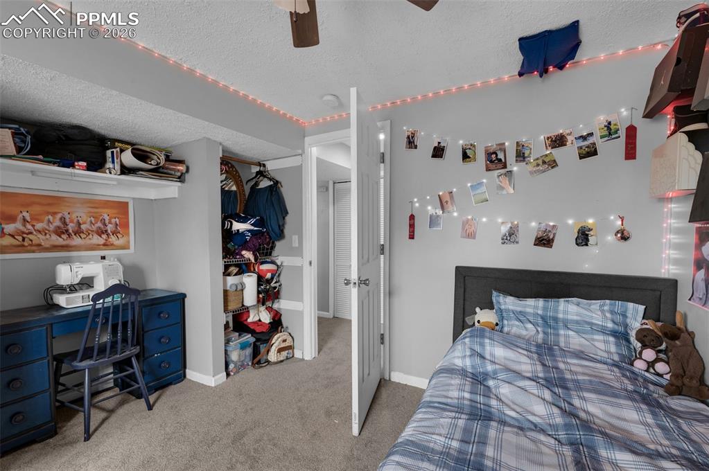 7 Lazy W Road Fountain, CO 80817 - Photo 43 of 48