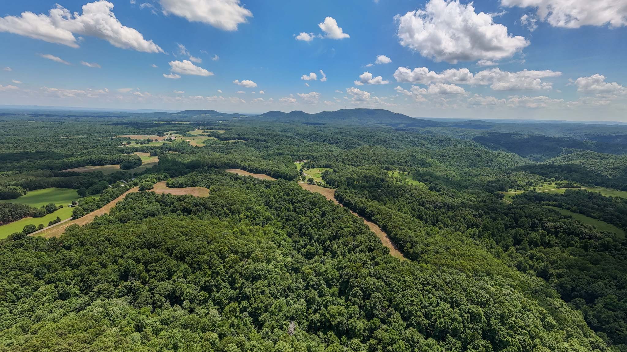 3772 Pea Ridge Road Liberty, TN 37095 - Photo 14 of 52