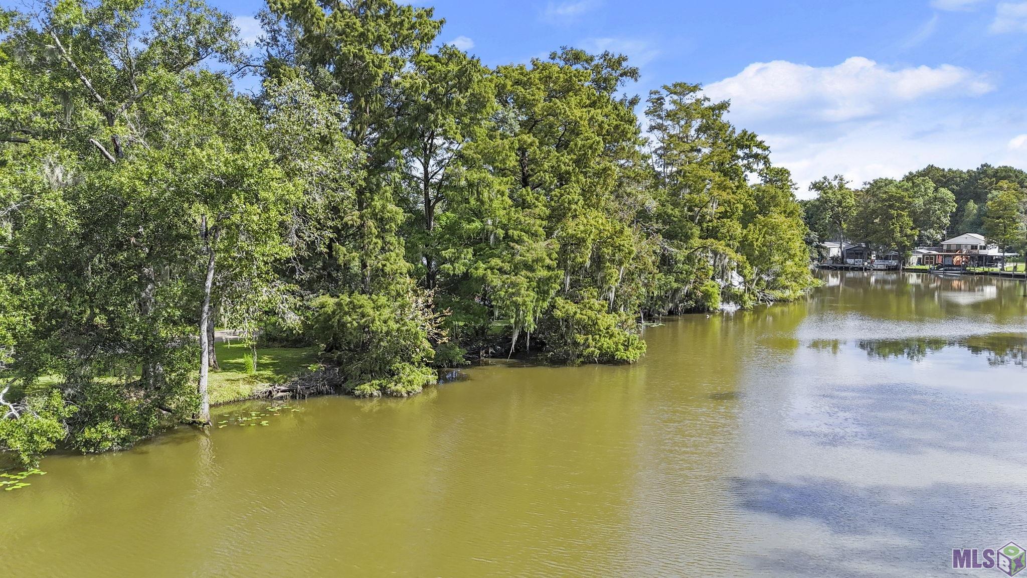 Lot 44 La Trace Road Livingston, LA 70754 - Photo 13 of 15 Gallery Image 13